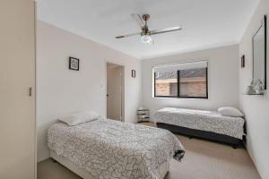 a bedroom with two beds and a window at Unit 7 18 Endeavour Parade in Tweed Heads