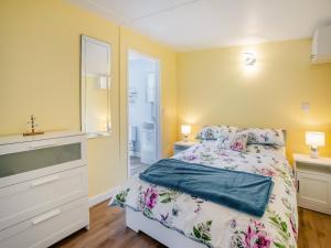 a bedroom with a bed and a dresser and a mirror at Tynrhos Lake View in Cilcennin