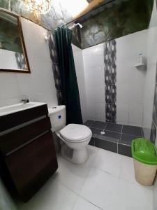W łazience znajduje się toaleta, umywalka i prysznic. w obiekcie Casa completa Bosque Ibagué w mieście Ibagué