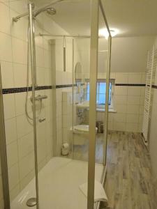 a bathroom with a shower and a sink at Apartment with Garden and City View in Munster im Heidekreis