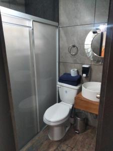 a bathroom with a toilet and a sink at Abitare Durango By Grupo Salazar in Durango