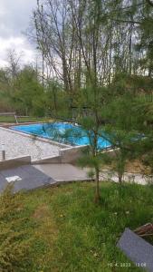 uma piscina azul com uma árvore em primeiro plano em Kuća za odmor/Party kuća em Lukinić Senovec