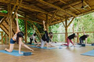 a group of people in a yoga class at YAY Sustainable in Guachaca