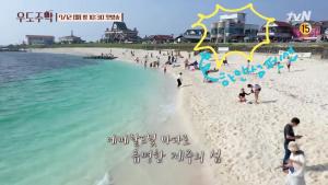un grupo de personas en una playa cerca del agua en White Castle Pension en Jeju