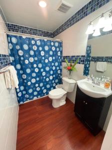 La salle de bains est pourvue de toilettes et d'un lavabo. dans l'établissement Ngermid Oasis- 1BD, Beautiful Lodge, Amazing Views, à Koror