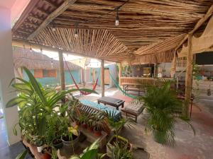 una sala de estar con muchas plantas en Barco Verde Hostel, en Isla Holbox