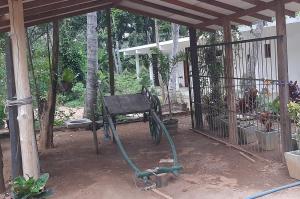Giardino di Hotel Serugahawatta