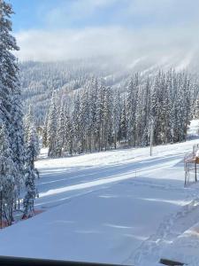 a snowy road with snow covered trees and a mountain at Cozy Modern Ski-in/Ski-out, Hot Tub, Alpine Home in Sun Peaks