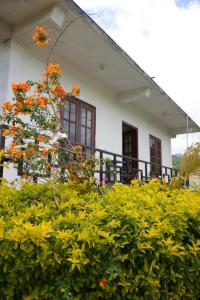 a bush with orange flowers in front of a house at The Train View in Nuwara Eliya