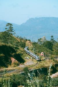 a train on a track on a hill with trees at The Train View in Nuwara Eliya