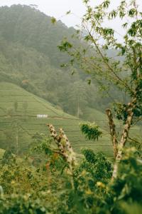 Paesaggio naturale nelle vicinanze del bed & breakfast