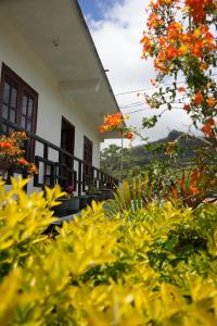 a view of a house with flowers on a balcony at The Train View in Nuwara Eliya