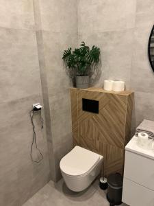 uma casa de banho com WC e uma planta numa prateleira em Marcinkowskiego 11 - 3 em Katowice
