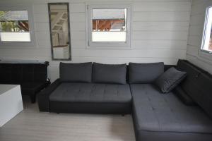 a living room with a couch and two windows at Domki nad jeziorem Kazub in Cieciorka