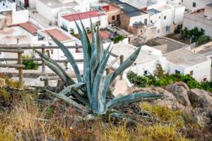 Kép Nijar bella y su Parque Natural Cabo de Gata szállásáról Níjarban a galériában