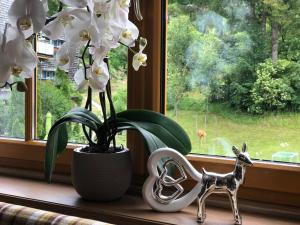 Zahrada ubytování Gasthof Botenwirt