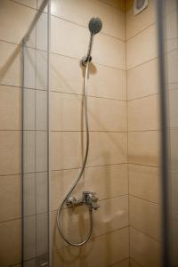 eine Dusche mit Duschkopf im Bad in der Unterkunft BAJKA in Kragujevac