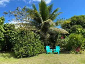 twee blauwe stoelen voor een palmboom bij Ana iti Lodge PAEA Tahiti in Paea