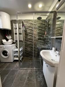 a bathroom with a shower and a sink and a washing machine at Apartman Plasse in Rijeka
