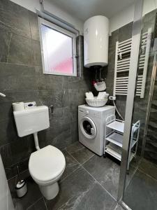 a bathroom with a toilet and a washing machine at Apartman Plasse in Rijeka
