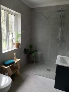 a bathroom with a shower and a toilet and a sink at Applelea House in Rosslare