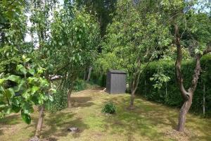 einen Garten mit einem Holzschuppen inmitten von Bäumen in der Unterkunft Lohme - Ferienhäuschen "Hochufer" ASM in Lohme