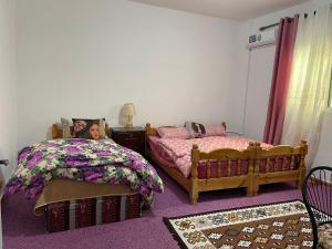 Katil atau katil-katil dalam bilik di taila hostel