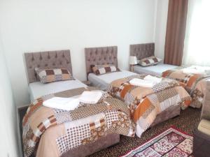 Katil atau katil-katil dalam bilik di taila hostel