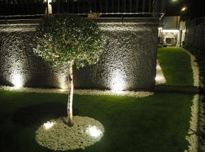 a tree in the middle of a yard with lights at La Finestra sui Faraglioni in Aci Castello