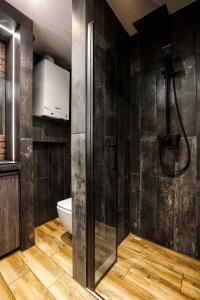 a bathroom with a shower and a toilet in it at Charming Studio with Air Conditioning, Old Town & Kazimierz in Krakow