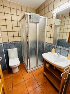 ビエルサにあるPirineos como en casaのバスルーム(シャワー、トイレ、シンク付)