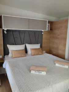 班約勒的住宿－Mobile Home Katja，一间卧室配有一张大床和两个枕头