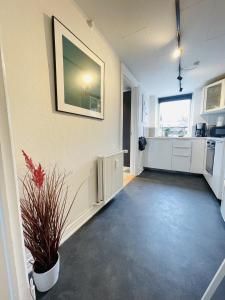an empty room with a kitchen and a plant at aday - Charming Studio close to the Football Stadium in Aalborg