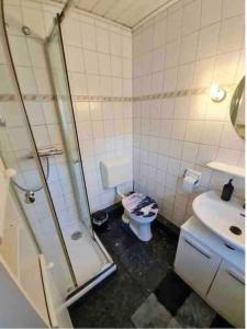 W łazience znajduje się prysznic, toaleta i umywalka. w obiekcie Meerhaus Hieve w mieście Emden
