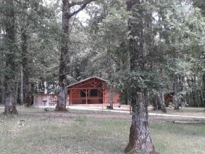 una cabaña en medio de un bosque con árboles en Gite Truffière de La Garrigue, Cubjac, Dordogne, en Cubjac