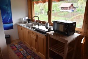 uma cozinha com um micro-ondas, um lavatório e uma janela em Apartma Silvia em Metlika
