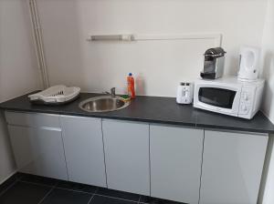 une cuisine avec évier et four micro-ondes sur un comptoir dans l'établissement O'Couvent - Appartement 87 m2 - 4 chambres - A501, à Salins-les-Bains
