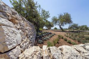 Gallery image of Casale Graffetta in Ispica