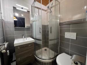 a bathroom with a shower and a sink and a toilet at Elan 19 - Appartement 3 chambres in La Clusaz