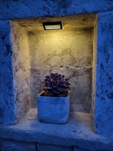 Fotografia z galérie ubytovania Korčula - apartman 1, Prigradica - IVAN v destinácii Blato
