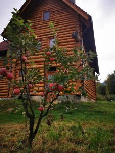 an apple tree in front of a log cabin at Valea Vistisoarei in Vistisoara