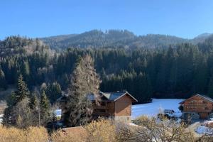 Príroda v okolí apartmánu