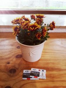 Gallery image of Studio Apartment Erlengrund in Bad Kohlgrub