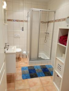 uma casa de banho com um chuveiro, um WC e um lavatório. em Ferienhof Gosch em Rendsburg