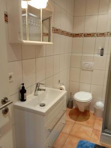 y baño con lavabo blanco y aseo. en Ferienhof Gosch, en Rendsburg