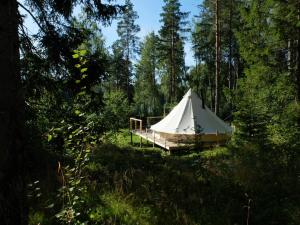 a white tent in the middle of a forest at Frisbo Lodge - Glamping tent in a forest, lake view in Bjuråker