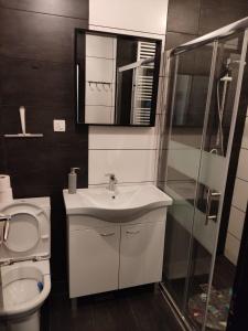 a bathroom with a toilet and a sink and a shower at Gasperius apartments in Zagreb