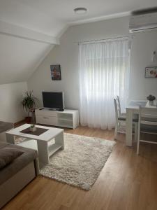 a living room with a couch and a table at Apartman Biki in Banja Koviljača