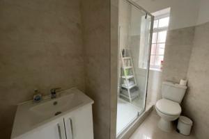 ein Bad mit einem WC, einem Waschbecken und einer Dusche in der Unterkunft Bright and Lovely 1 Bedroom Flat Belsize in London