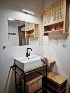 a bathroom with a sink and a mirror at Na Przypiecku in Piecki